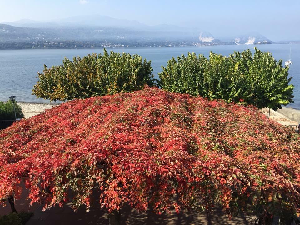 Albergo Riva Reno Di Leggiuno ภายนอก รูปภาพ